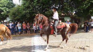 Cavalgada de Fartura reúne centenas de pessoas