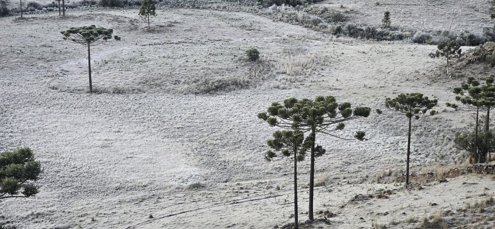 FRIO EM SANTA CATARINA CHEGA A -7°C