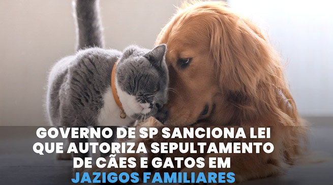 GOVERNO DE SP SANCIONA LEI QUE AUTORIZA O SEPULTAMENTO DE CÃES E GATOS EM JAZIGOS FAMILIARES