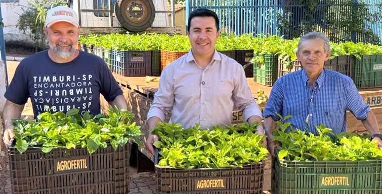 PREFEITURA ENTREGA MUDAS DE CAFÉ PARA AGRICULTURA FAMILIAR