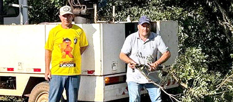 PODA DE ÁRVORES MELHORA MARGENS DE RODOVIA EM TAGUAÍ
