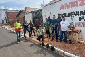 Recapeamento asfáltico e arborização urbana em Taguaí