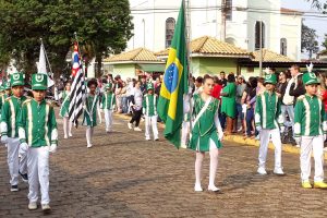 Alunos da Educação Infantil conduziram os pavilhões na abertura do desfile